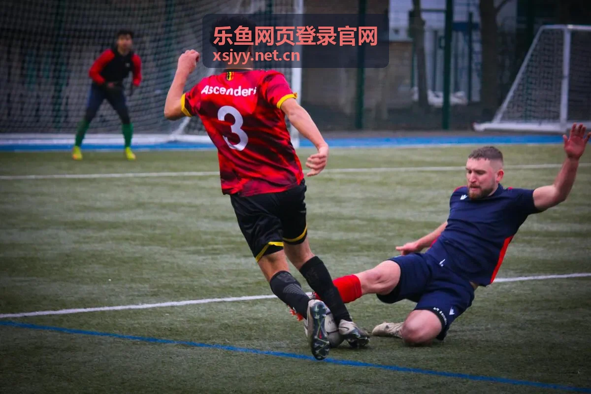 乐鱼网页登录官网移动端访问方式说明
