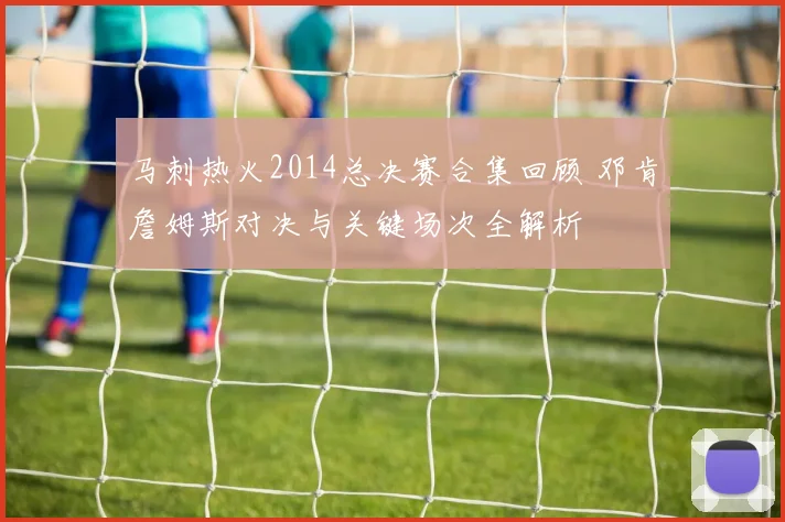 马刺热火2014总决赛合集回顾 邓肯詹姆斯对决与关键场次全解析