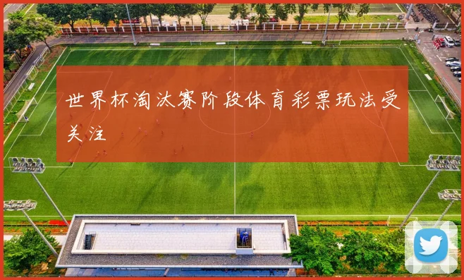 世界杯淘汰赛阶段体育彩票玩法受关注
