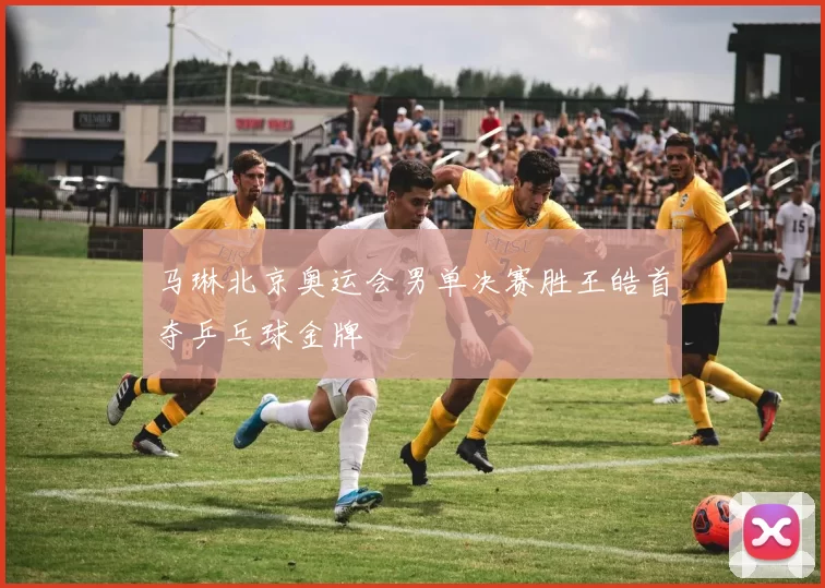 马琳北京奥运会男单决赛胜王皓首夺乒乓球金牌