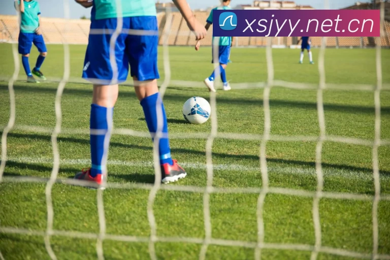 开云 - KAIYUNAPP下载平台生态图